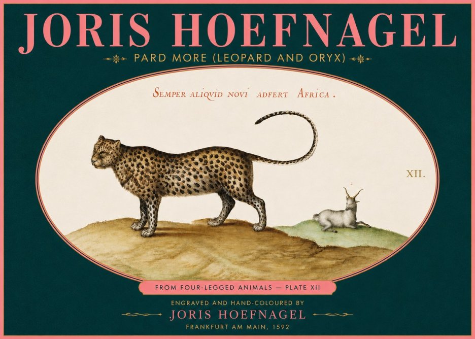 Joris Hoefnagel Pard More (Leopard and Oryx) No5 - Póster