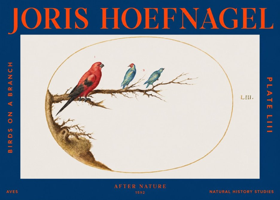Joris Hoefnagel Birds on a Branch No3 - Póster