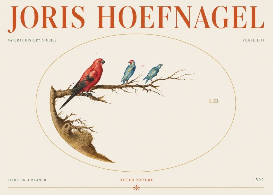 Joris Hoefnagel Birds on a Branch No5 - Póster
