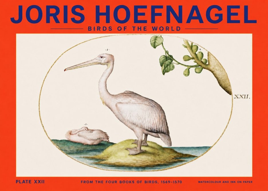 Joris Hoefnagel Plate Xxii No4 - Póster