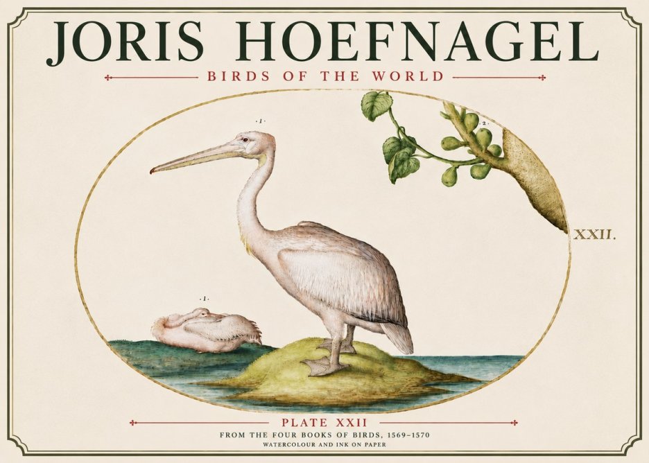 Joris Hoefnagel Plate Xxii No6 - Póster