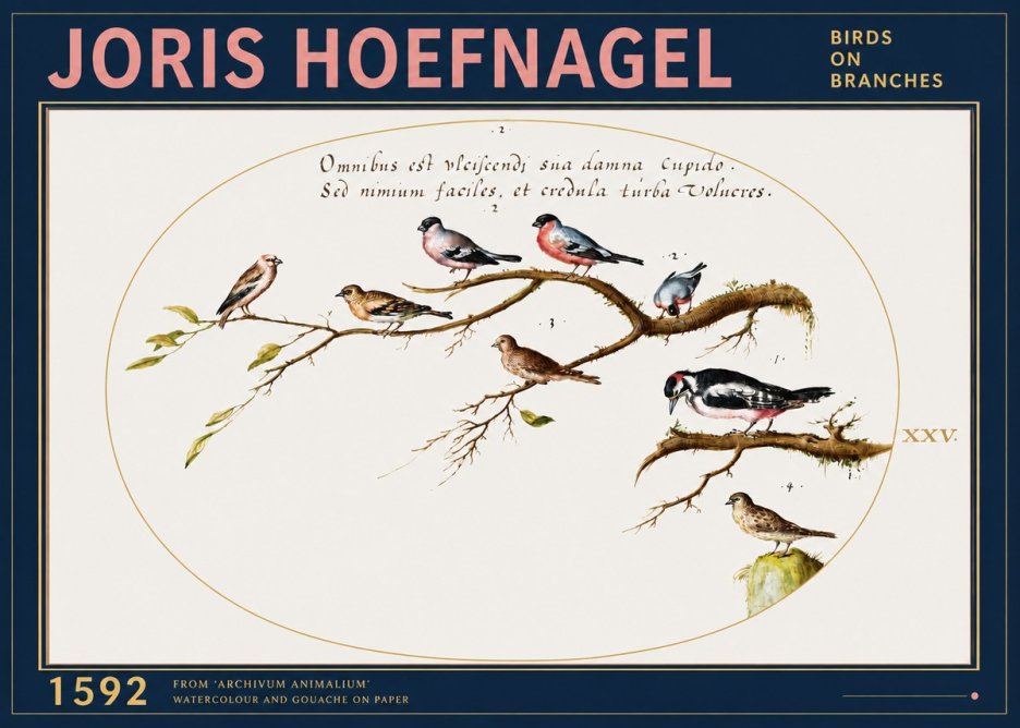 Joris Hoefnagel Birds on Branches No3 - Póster
