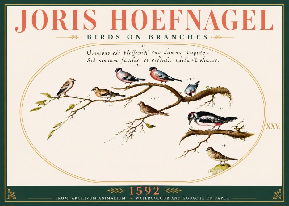 Joris Hoefnagel Birds on Branches No6 - Póster