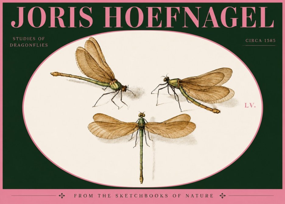 Joris Hoefnagel Studies of Dragonflies No4 - Póster