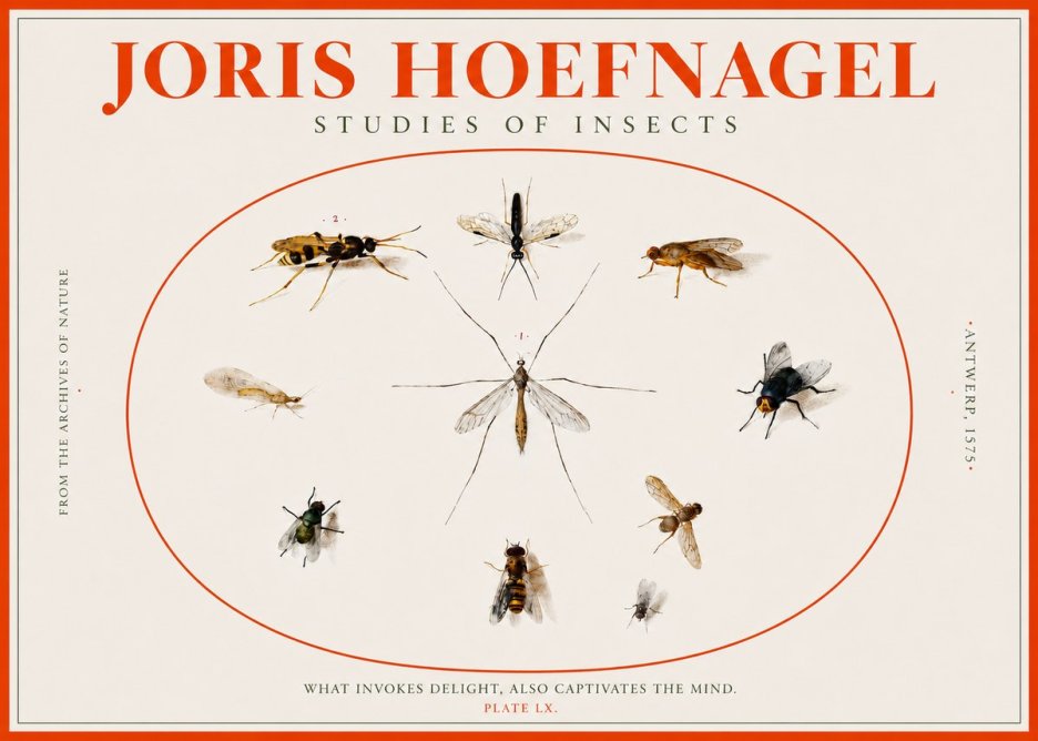 Joris Hoefnagel Studies of Insects III No2 - Póster