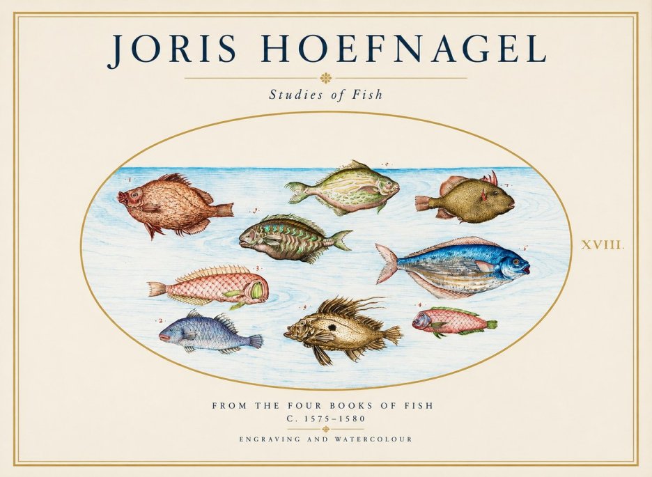 Joris Hoefnagel Studies of Fish I No1 - Póster