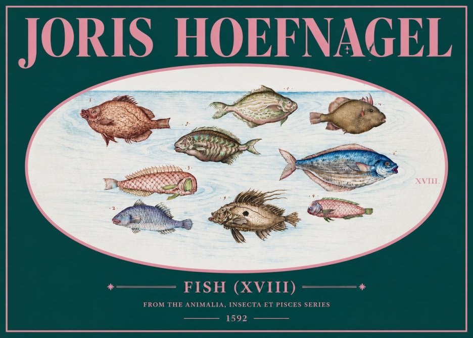 Joris Hoefnagel Studies of Fish I No3 - Póster