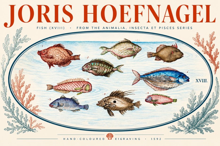 Joris Hoefnagel Studies of Fish I No5 - Póster