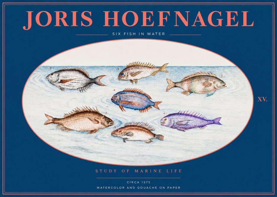 Joris Hoefnagel Six Fish in Water No2 - Póster