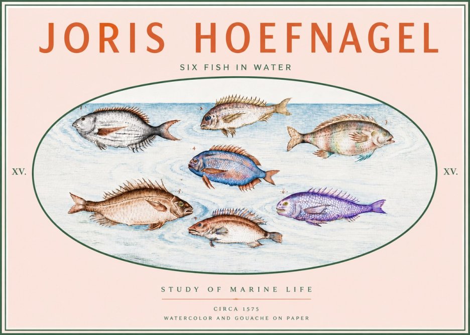 Joris Hoefnagel Six Fish in Water No3 - Póster