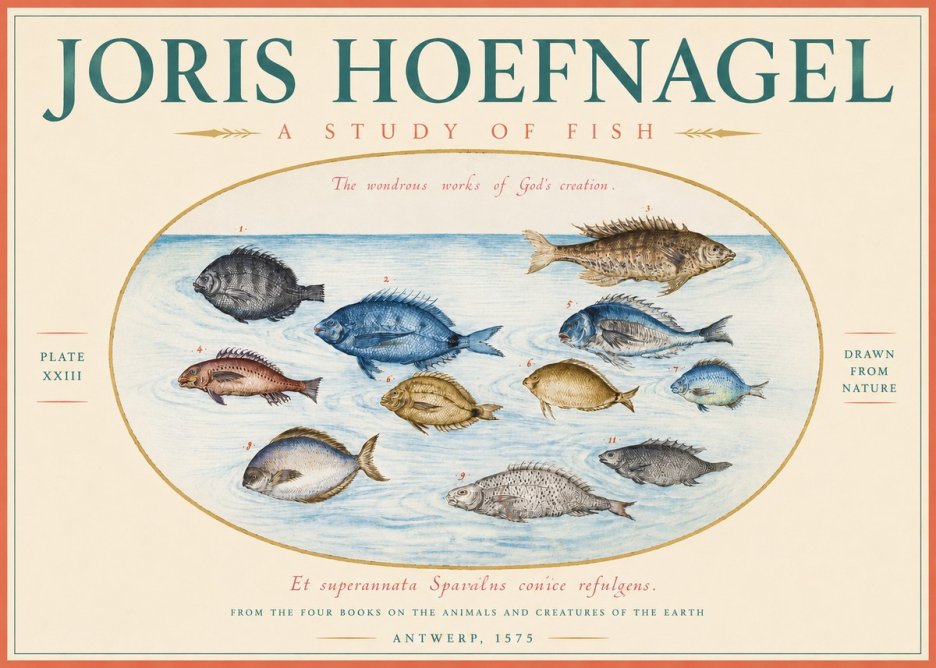Joris Hoefnagel A Study of Fish No3 - Póster