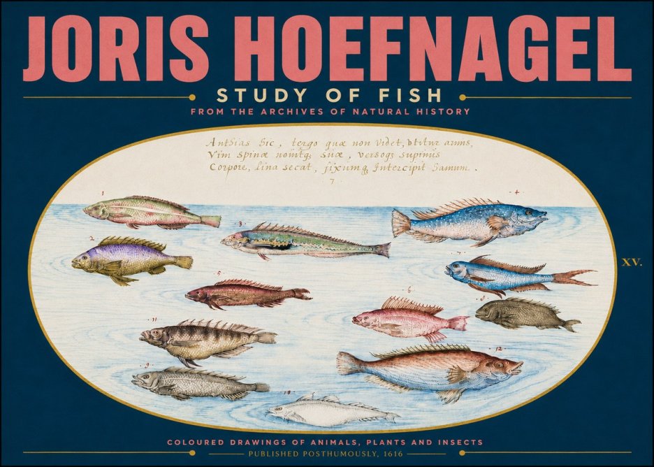 Joris Hoefnagel Study of Fish No4 - Póster