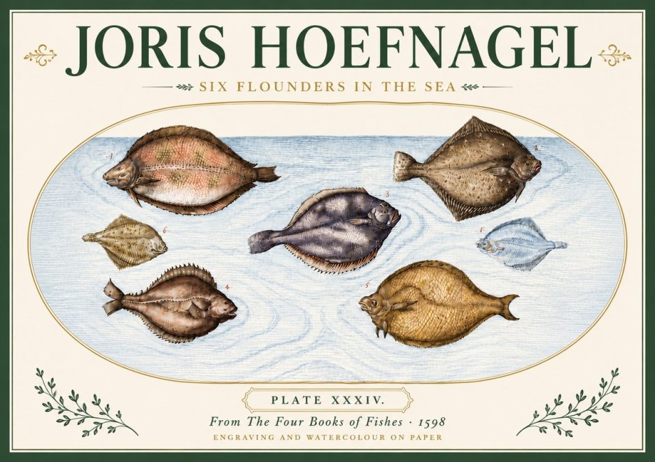 Joris Hoefnagel Six Flounders in the Sea No6 - Póster