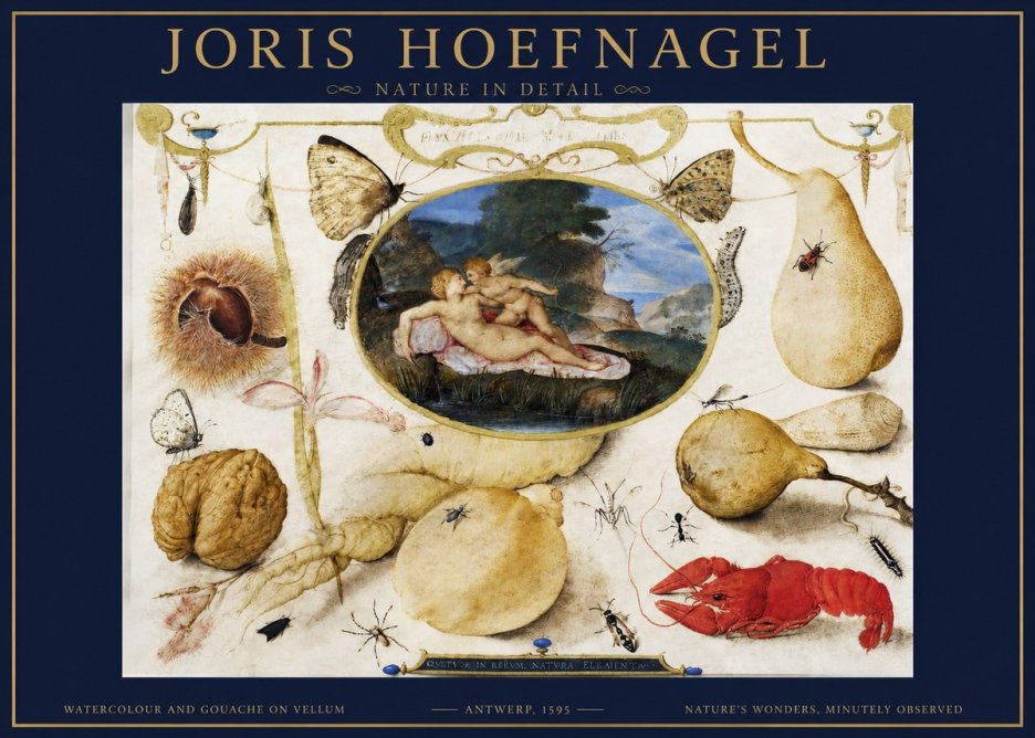 Joris Hoefnagel Nature in Detail No2 - Póster