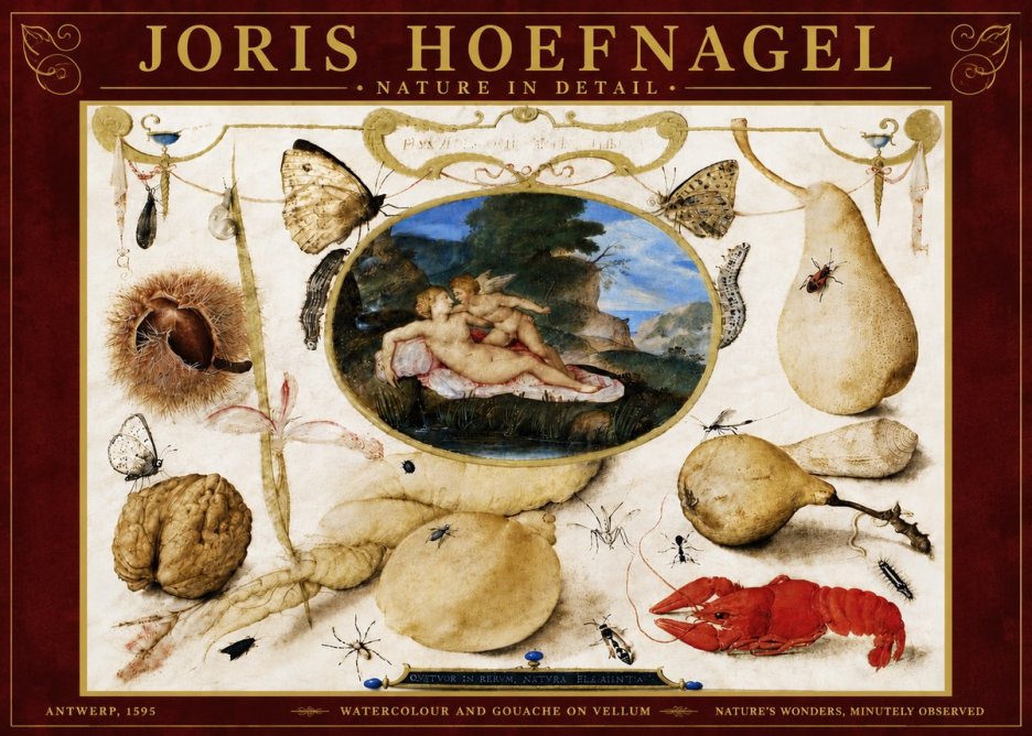 Joris Hoefnagel Nature in Detail No6 - Póster