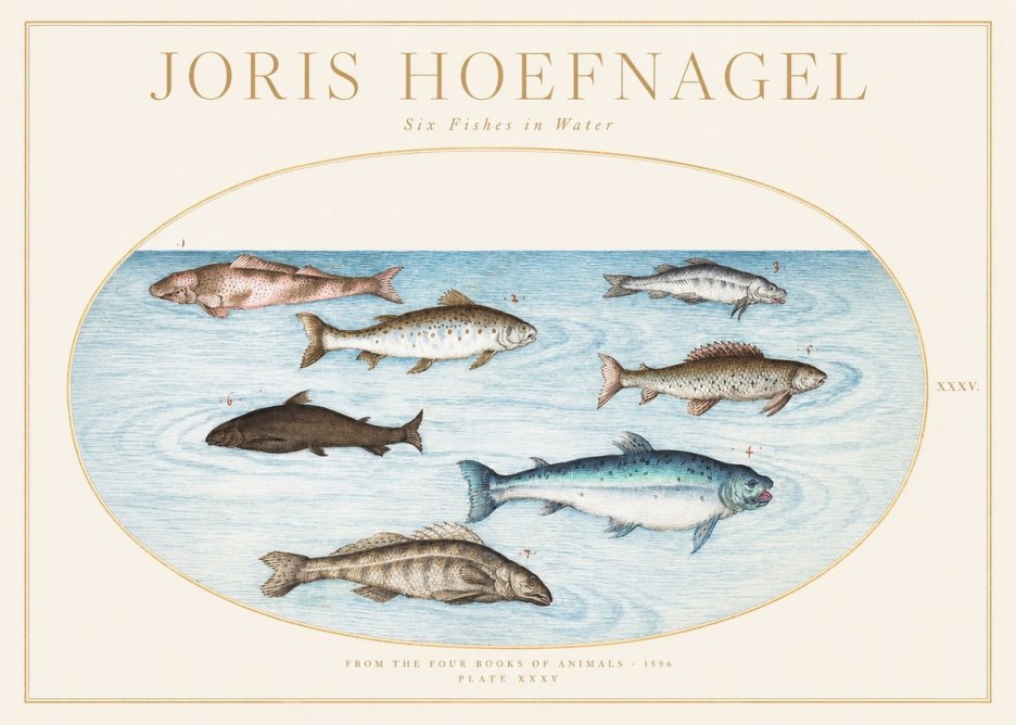 Joris Hoefnagel Six Fishes in Water I No1 - Póster