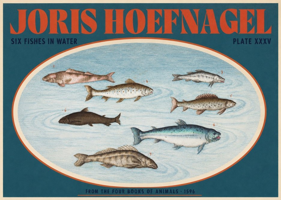 Joris Hoefnagel Six Fishes in Water I No2 - Póster