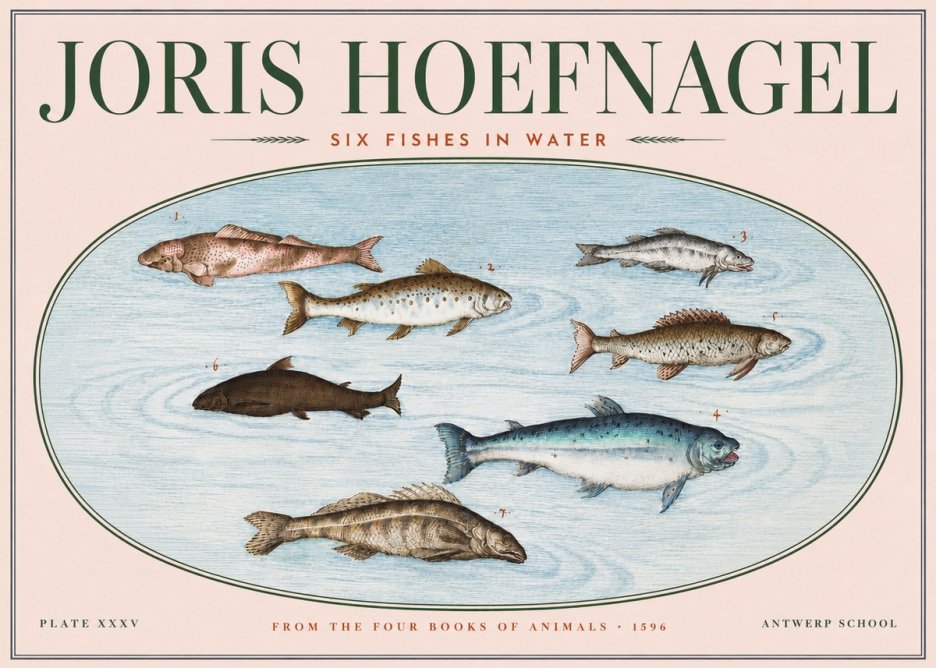 Joris Hoefnagel Six Fishes in Water I No3 - Póster