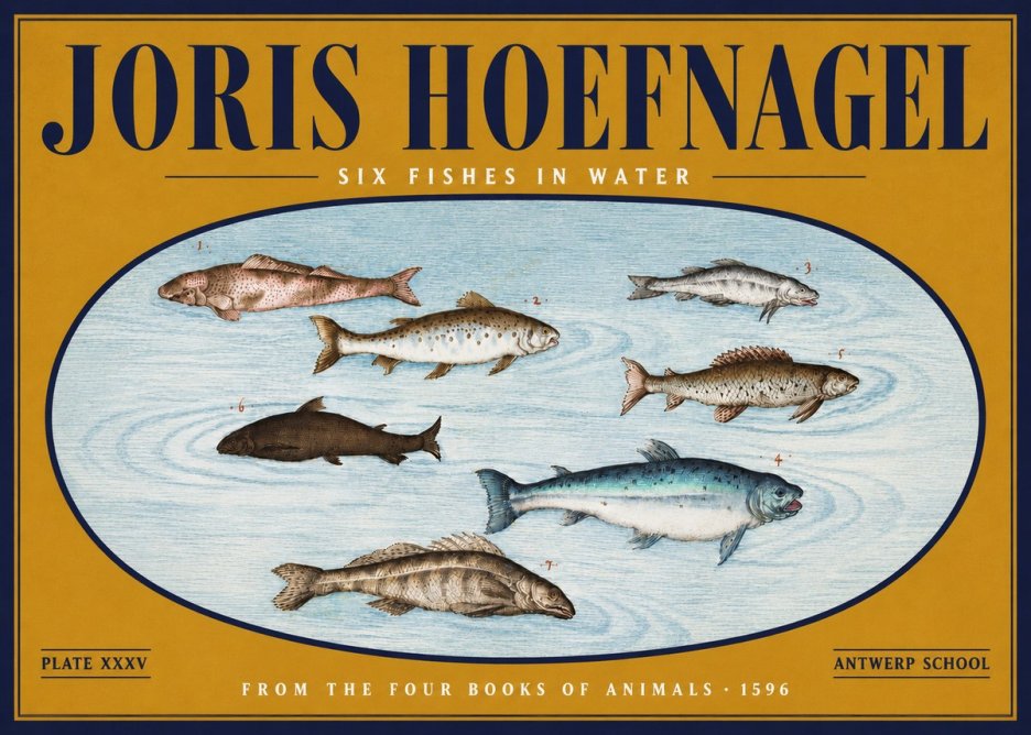 Joris Hoefnagel Six Fishes in Water I No4 - Póster