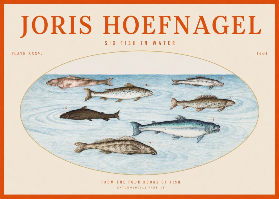 Joris Hoefnagel Six Fishes in Water I No6 - Póster