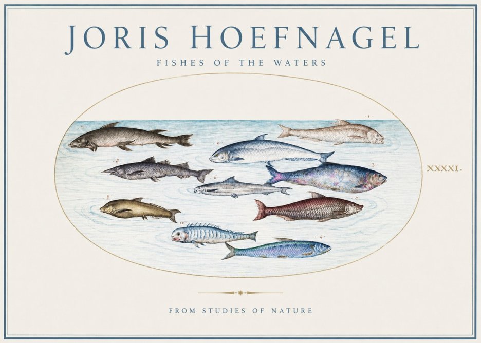 Joris Hoefnagel Fishes of the Waters II No1 - Póster