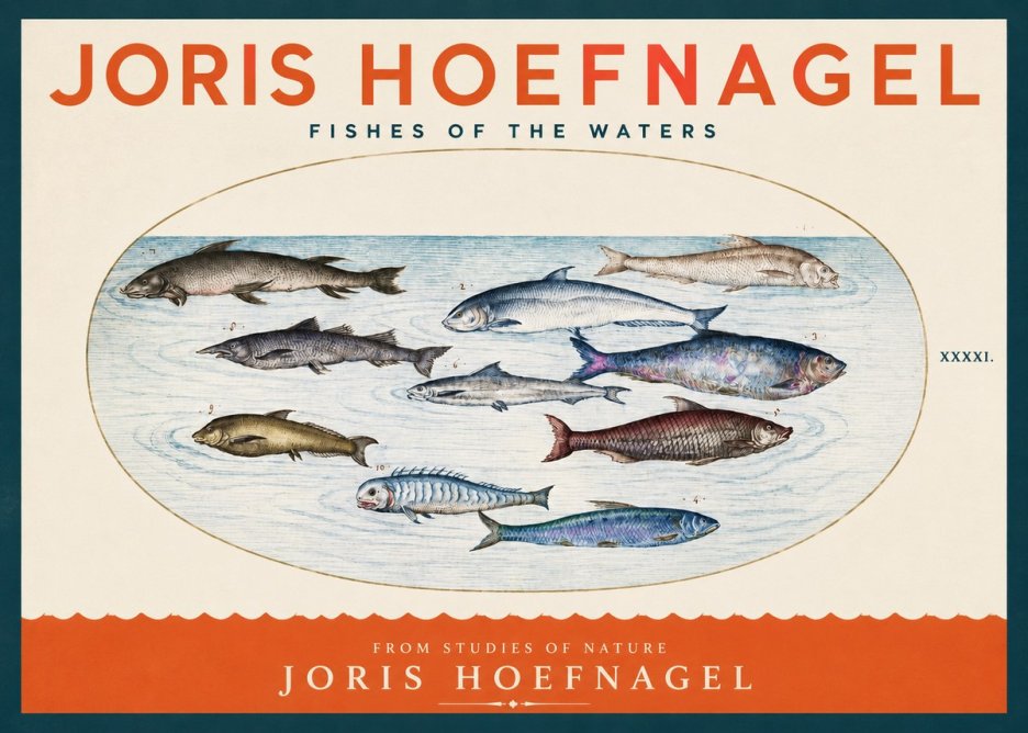 Joris Hoefnagel Fishes of the Waters II No2 - Póster