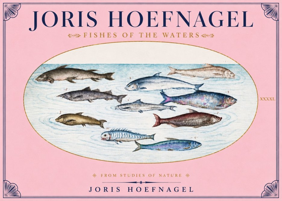 Joris Hoefnagel Fishes of the Waters II No3 - Póster