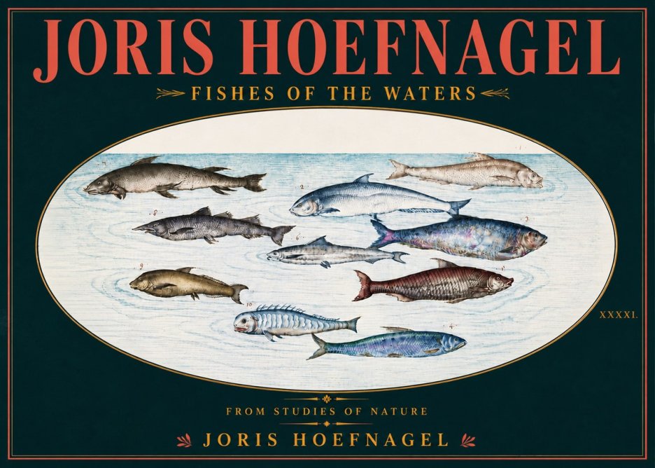 Joris Hoefnagel Fishes of the Waters II No6 - Póster
