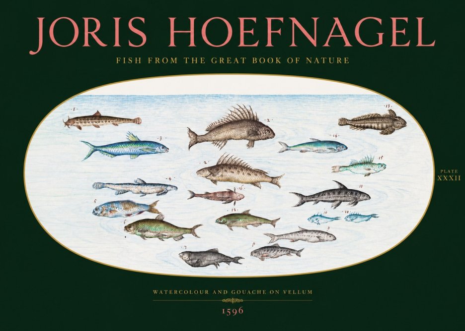 Joris Hoefnagel Fish from the Great Book of Nature No2 - Póster
