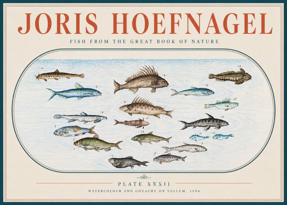 Joris Hoefnagel Fish from the Great Book of Nature No4 - Póster