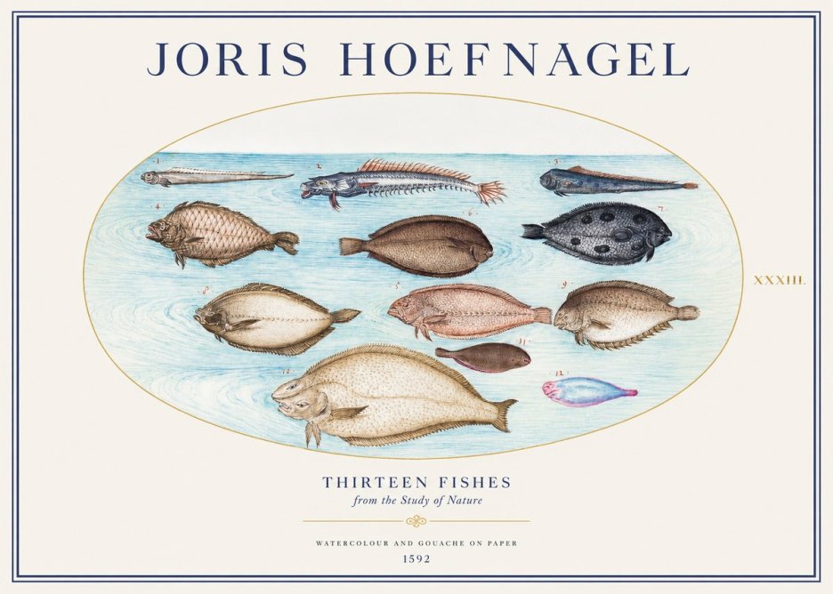 Joris Hoefnagel Thirteen Fishes from the Study of Nature No1 - Póster