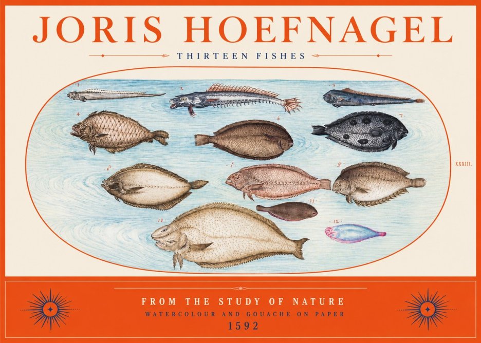 Joris Hoefnagel Thirteen Fishes from the Study of Nature No2 - Póster