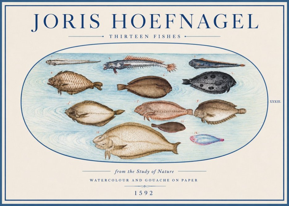 Joris Hoefnagel Thirteen Fishes from the Study of Nature No4 - Póster