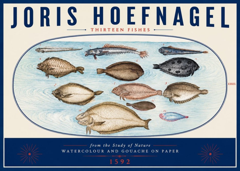 Joris Hoefnagel Thirteen Fishes from the Study of Nature No6 - Póster