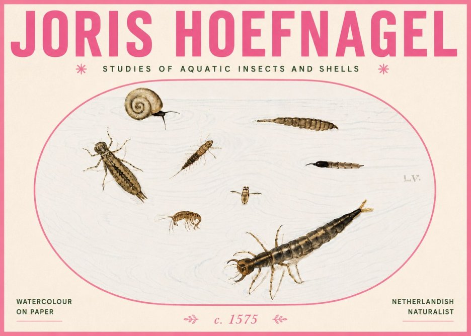 Joris Hoefnagel Studies of Aquatic Insects and Shells No6 - Póster