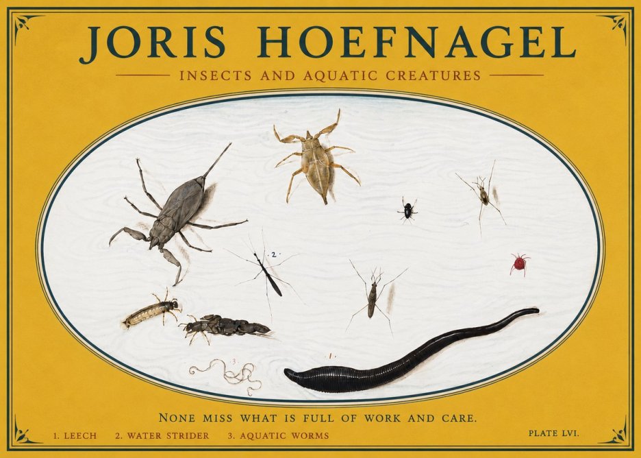 Joris Hoefnagel Insects and Aquatic Creatures No3 - Póster