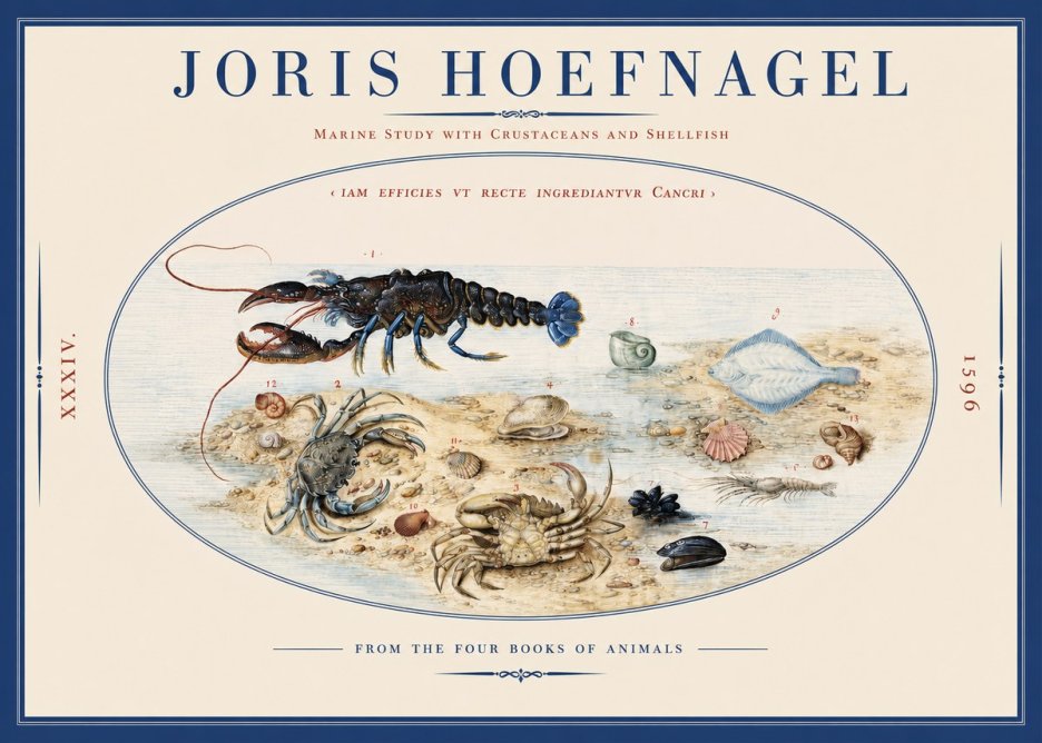 Joris Hoefnagel Marine Study with Crustaceans and Shellfish No2 - Póster