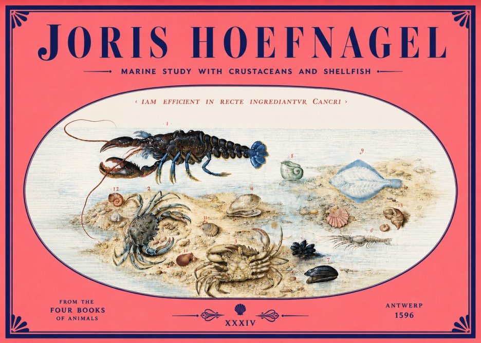 Joris Hoefnagel Marine Study with Crustaceans and Shellfish No4 - Póster