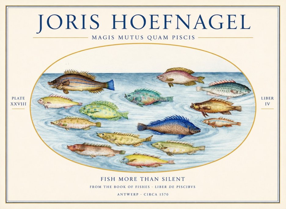 Joris Hoefnagel Fish More Than Silent No1 - Póster