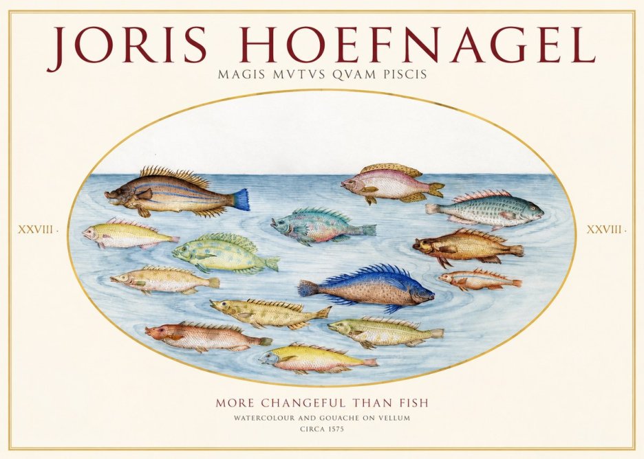Joris Hoefnagel Fish More Than Silent No2 - Póster