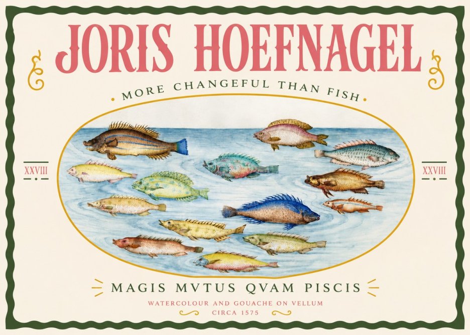 Joris Hoefnagel Fish More Than Silent No4 - Póster