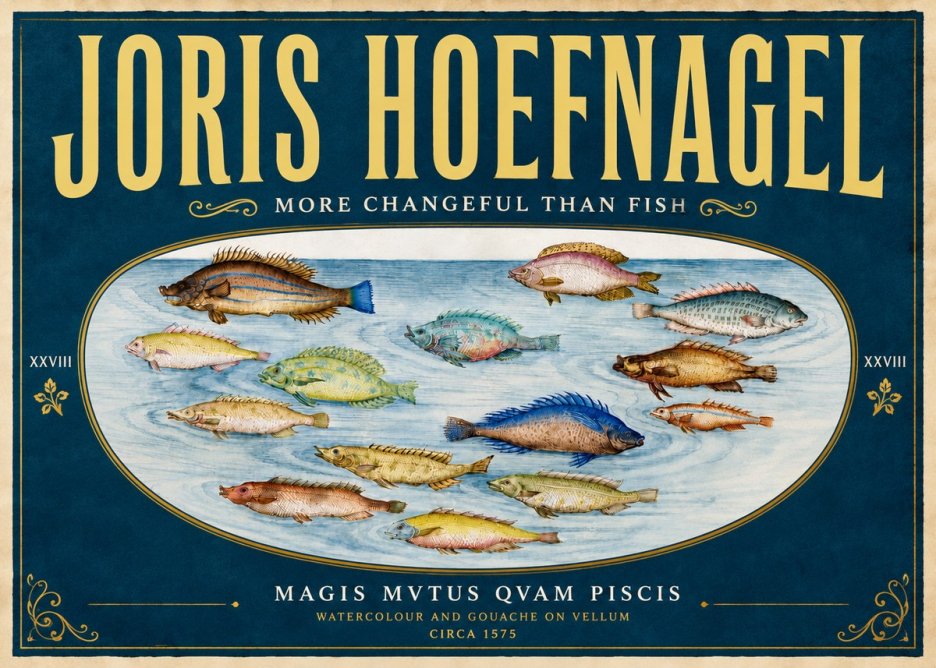 Joris Hoefnagel Fish More Than Silent No6 - Póster