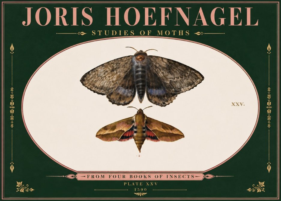 Joris Hoefnagel Studies of Moths I No6 - Póster