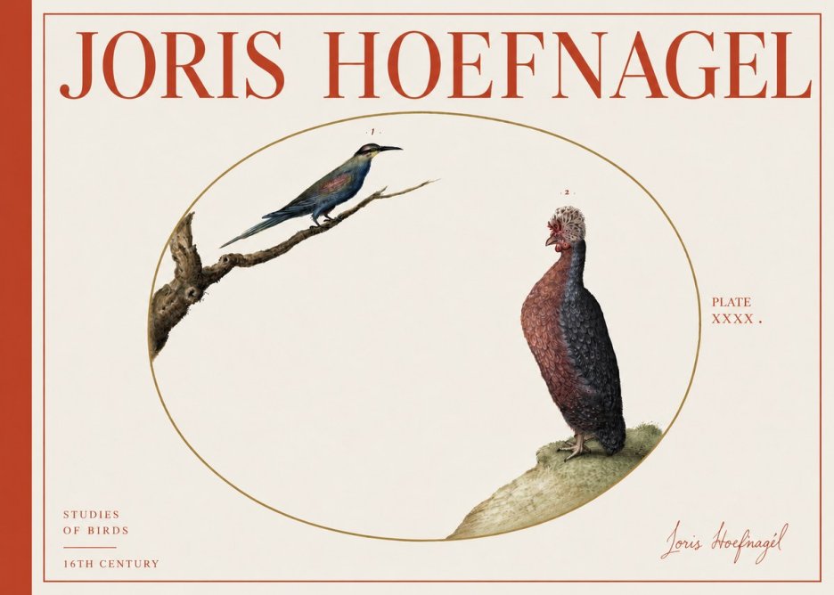 Joris Hoefnagel Studies of Birds I No4 - Póster