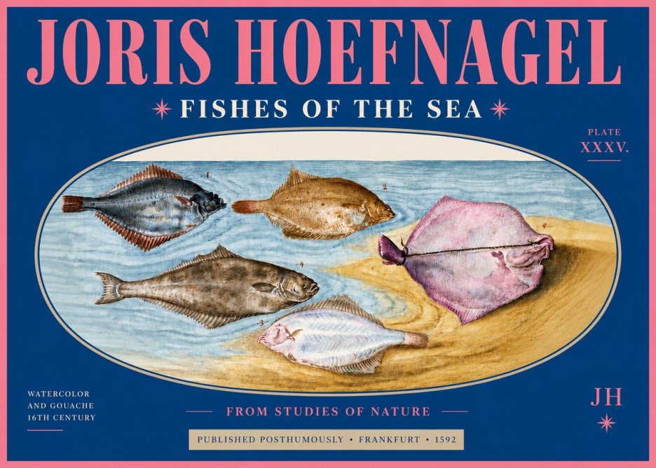 Joris Hoefnagel Fishes of the Sea II No4 - Póster