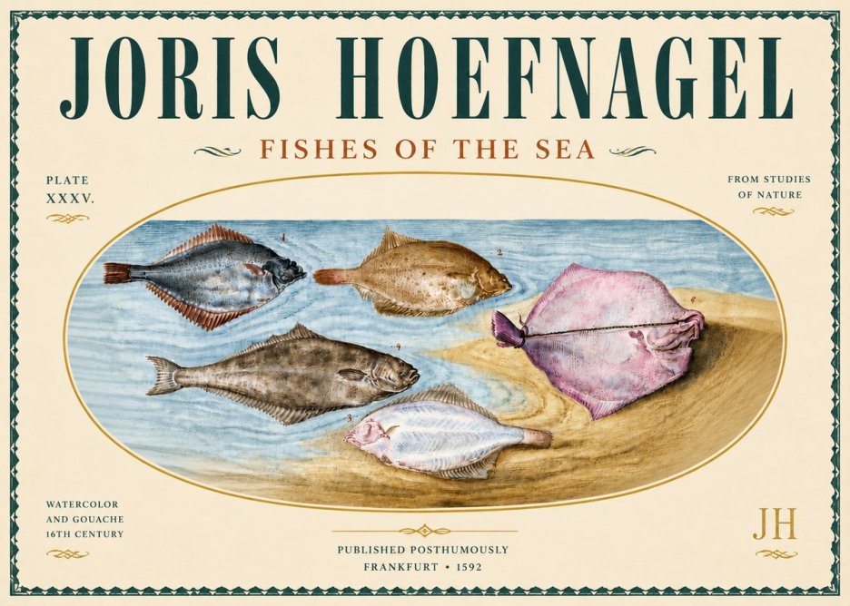 Joris Hoefnagel Fishes of the Sea II No5 - Póster