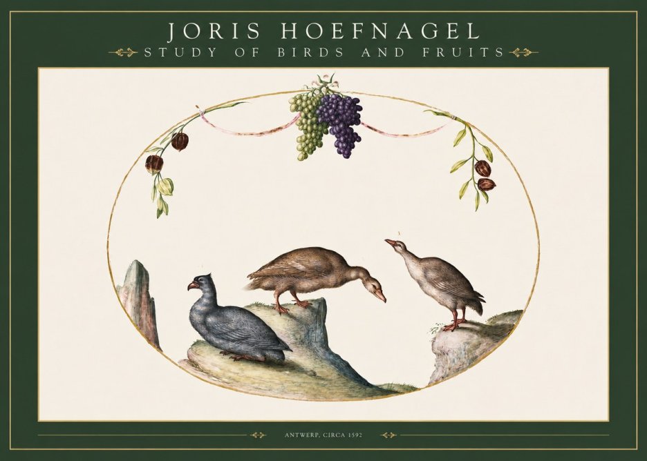 Joris Hoefnagel Three Birds with Grapes and Inscription No3 - Póster