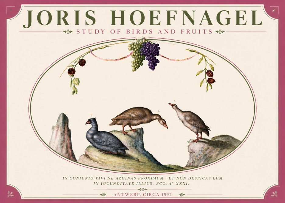 Joris Hoefnagel Three Birds with Grapes and Inscription No6 - Póster