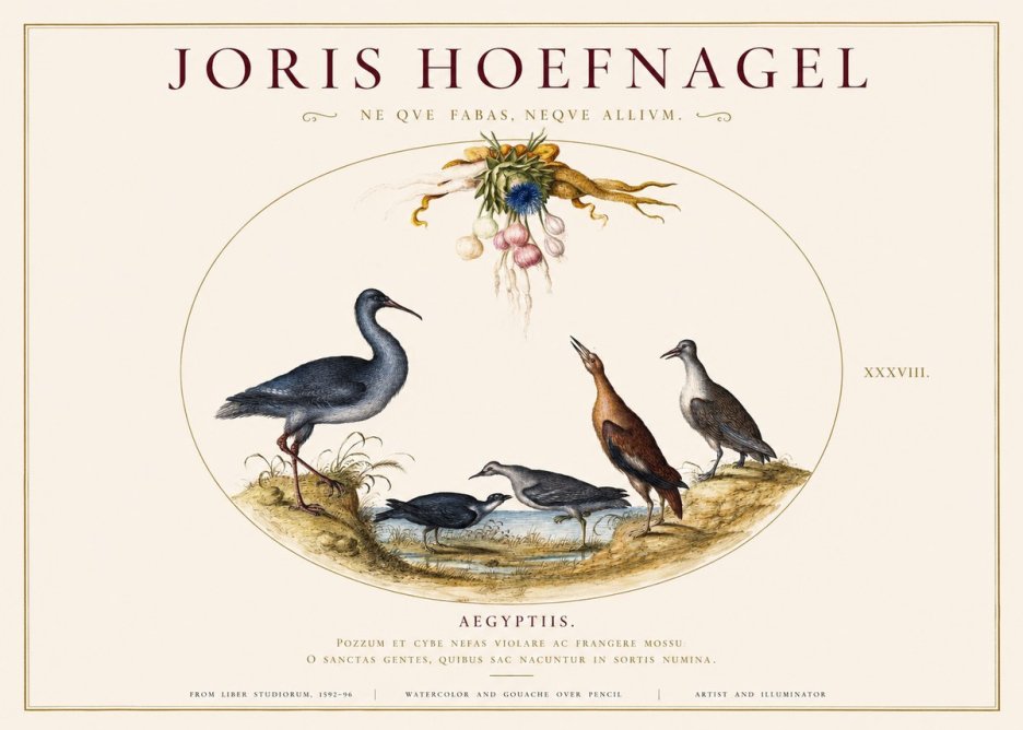 Joris Hoefnagel Aegyptiis. No1 - Póster