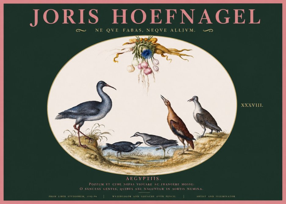 Joris Hoefnagel Aegyptiis. No2 - Póster